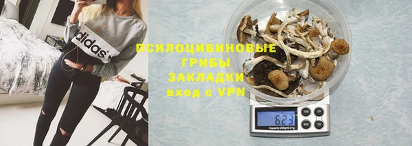бутират Гусев