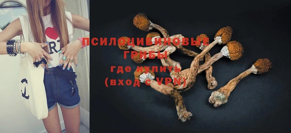 бутират Гусев