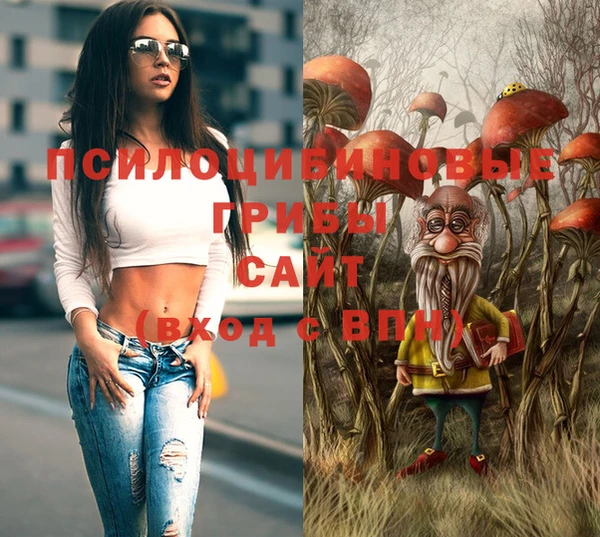 ALPHA-PVP Горняк