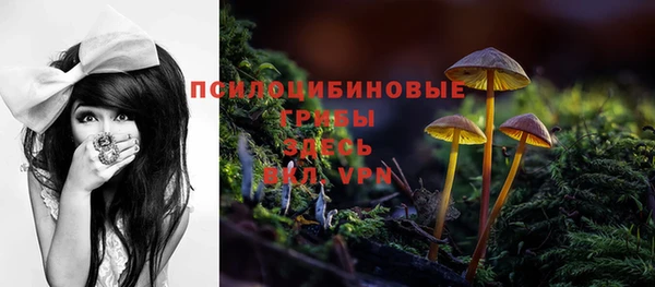 ешки Гусь-Хрустальный