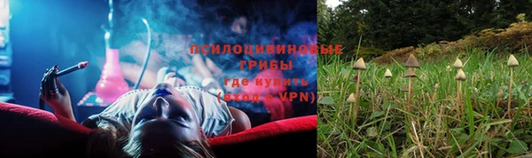ALPHA-PVP Горняк